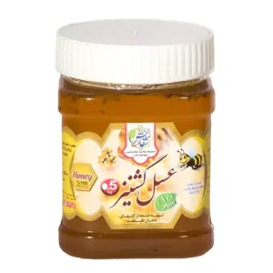 عسل گشنیز500گرمی