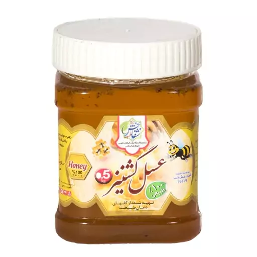عسل گشنیز500گرمی