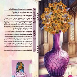 عطر شکوفه سنجد طیبستان