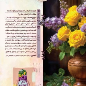 عطر عقیق طیبستان