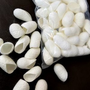 پیله ابریشم