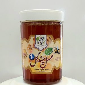 عسل چند گل (یک کیلویی)