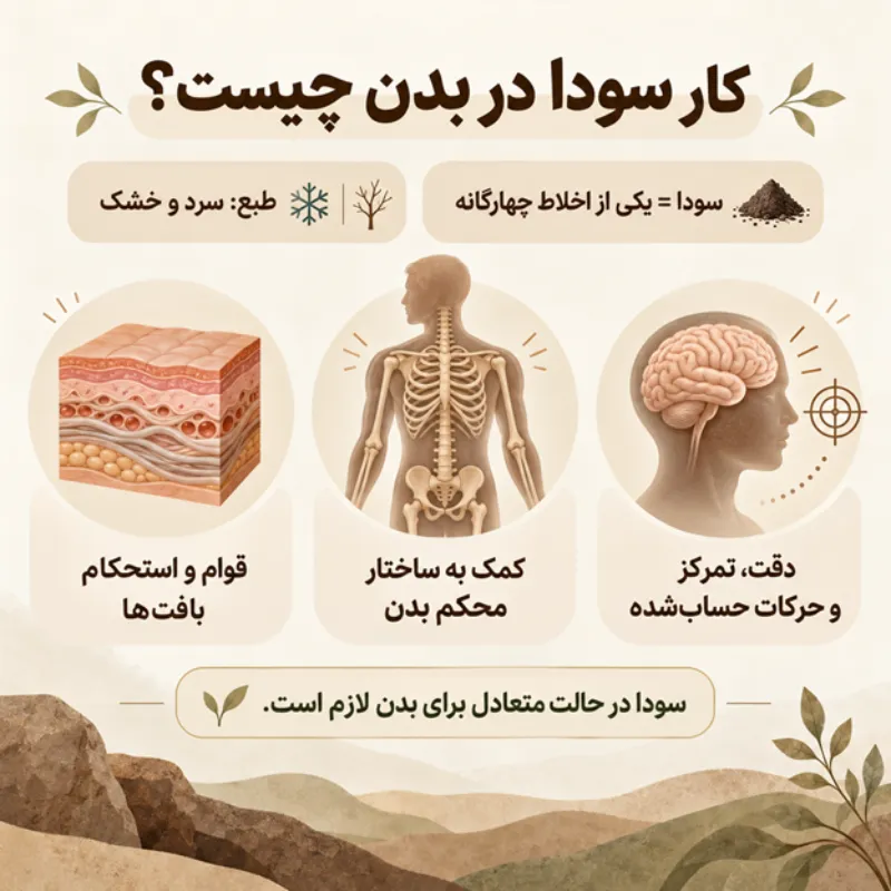 کار سودا در بدن چیست؟