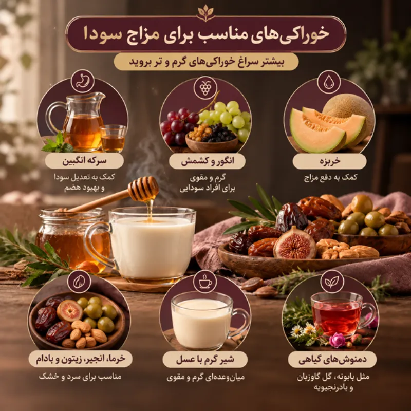 چه غذاهایی برای مزاج سودا خوب است؟